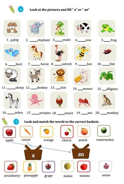 🎁 TẶNG SÁCH NGỮ PHÁP TIỂU HỌC 200 TRANG – HÌNH ẢNH MÀU SIÊU ĐẸP!
