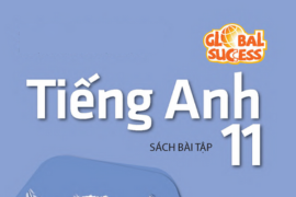 Tiếng Anh 11 - Test yourself 1